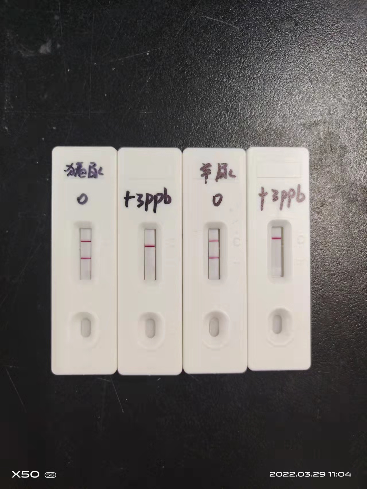 克伦特罗(克伦特罗是什么药)